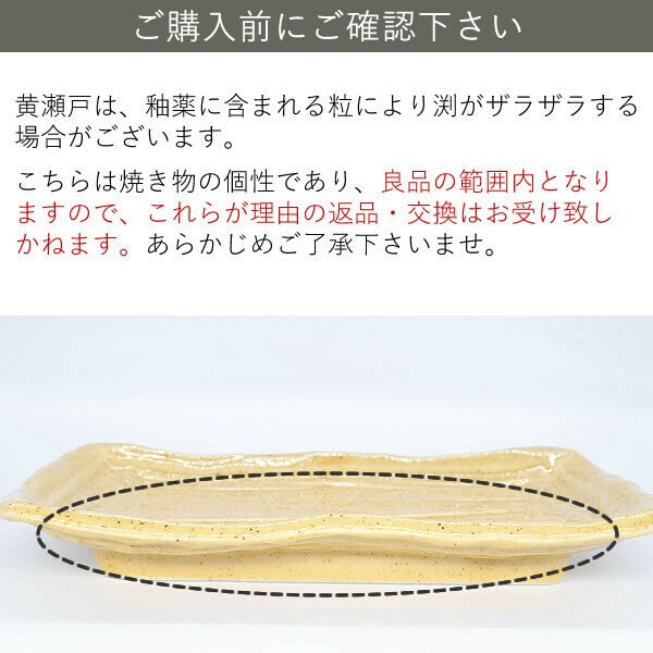 日本製 美濃燒 經典四色角皿 | 方盤 魚盤 燒物 烤物 居酒屋 串炸盤 小菜 前菜盤