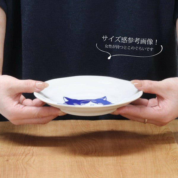 日本製 美濃燒 Shichita 陶瓷貓咪圓盤 16cm | 點心盤 水果盤 沙拉盤 甜點盤 分菜盤