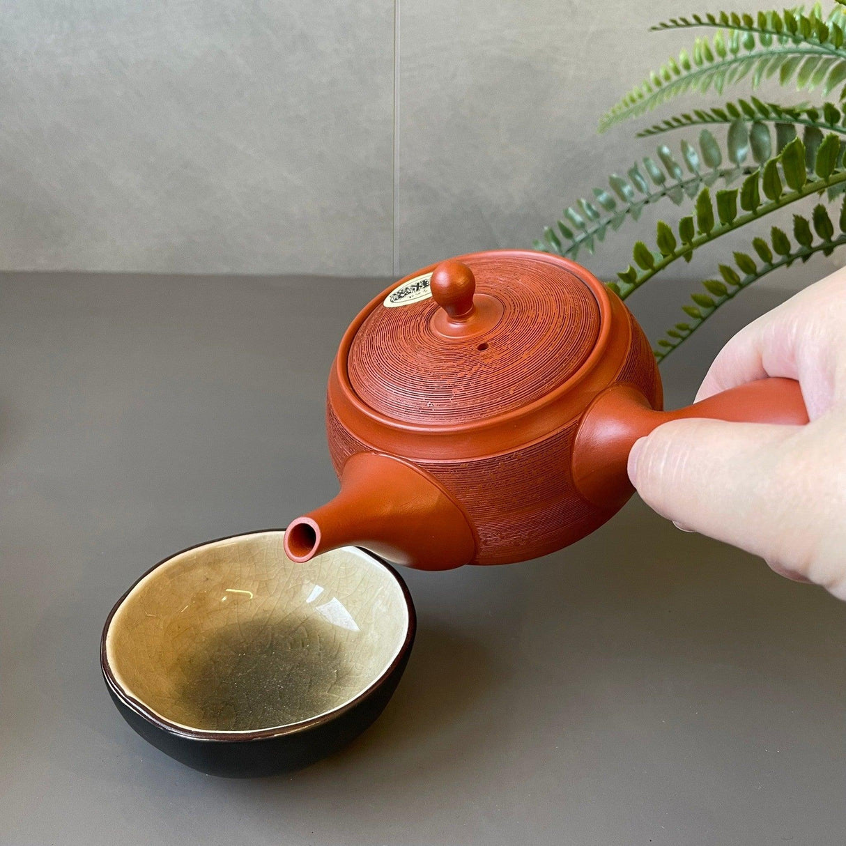 日本製 常滑燒 春秋窯 朱泥條紋 陶瓷茶壺|310cc - 富士通販