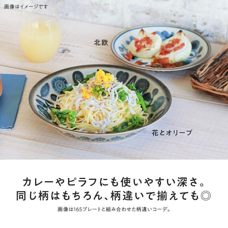 美濃燒Clasico咖哩餐盤 21cm|北歐/花橄欖 - 富士通販