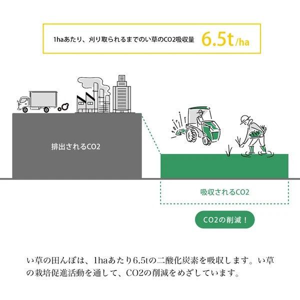 日本製 IKEHIKO 除臭除濕藺草花圈|花環 居家裝飾 掛飾 - 富士通販