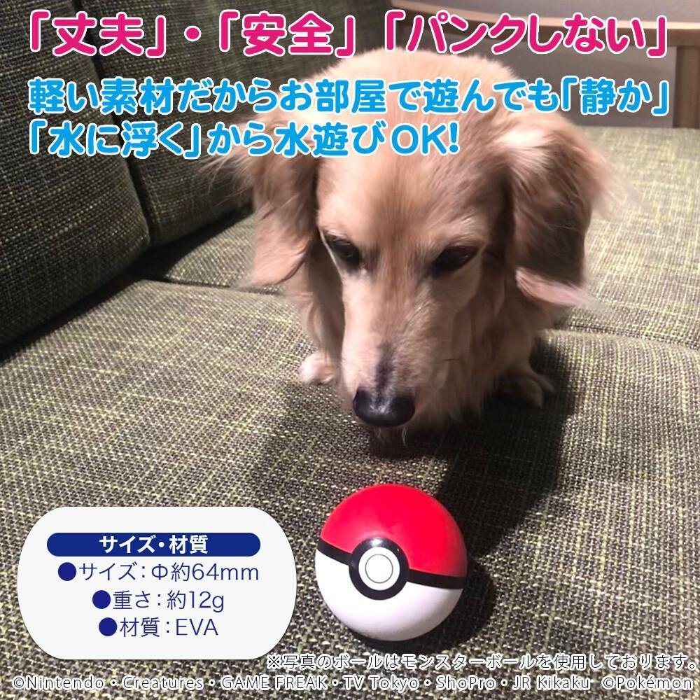 日本 神奇寶貝POKÉMON |寶可夢 寵物玩具球-四款可選 - 富士通販