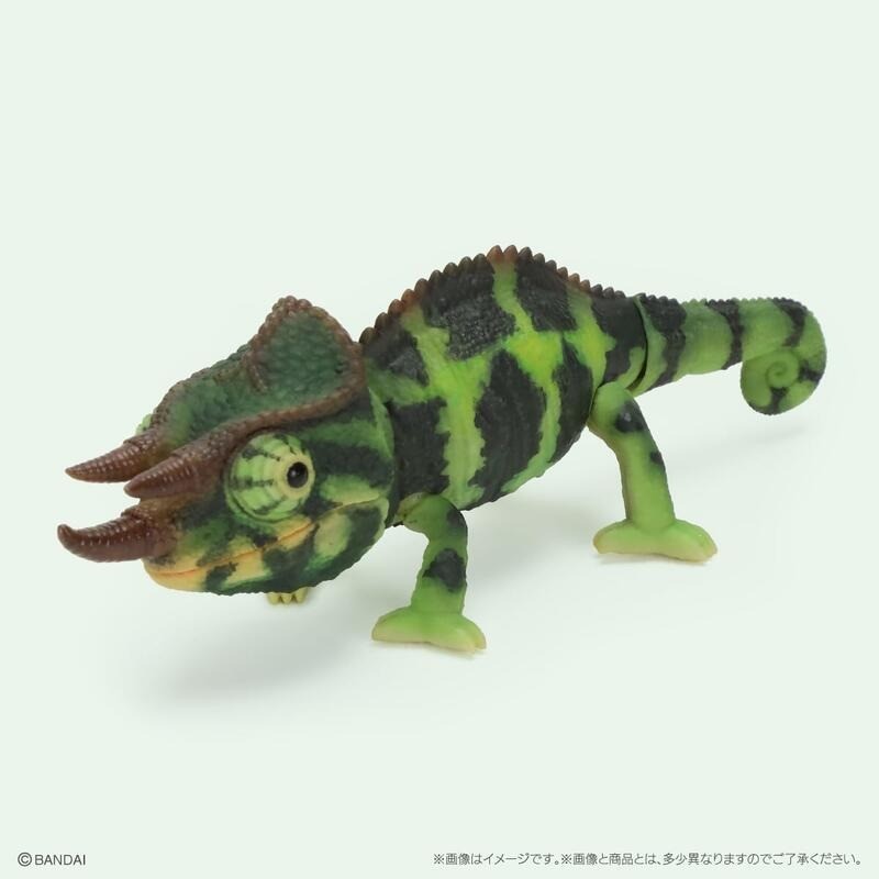 日本 生物大圖鑑 變色龍 扭蛋 動物模型 爬蟲公仔 可動模型