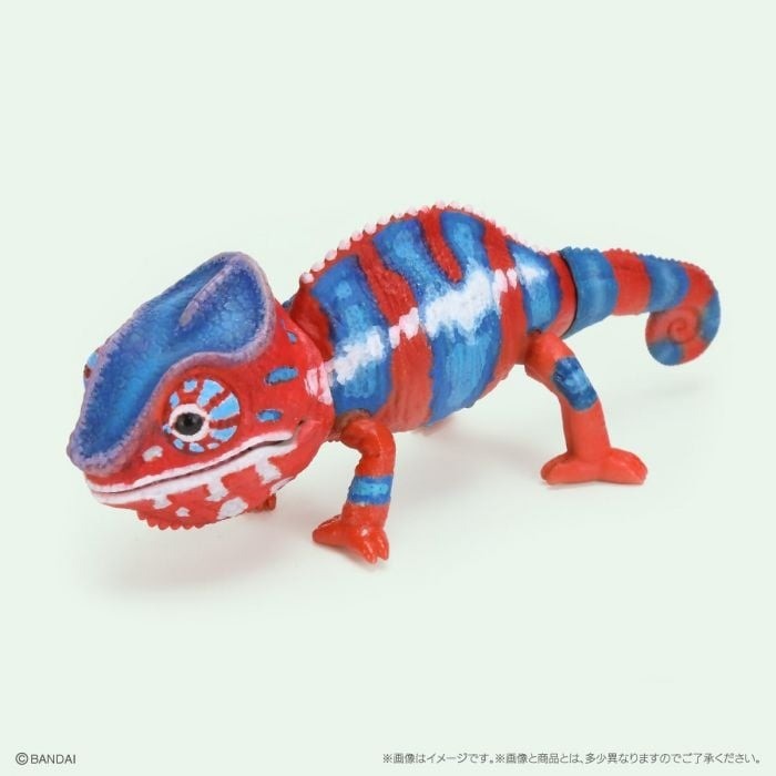 日本 生物大圖鑑 變色龍 扭蛋 動物模型 爬蟲公仔 可動模型