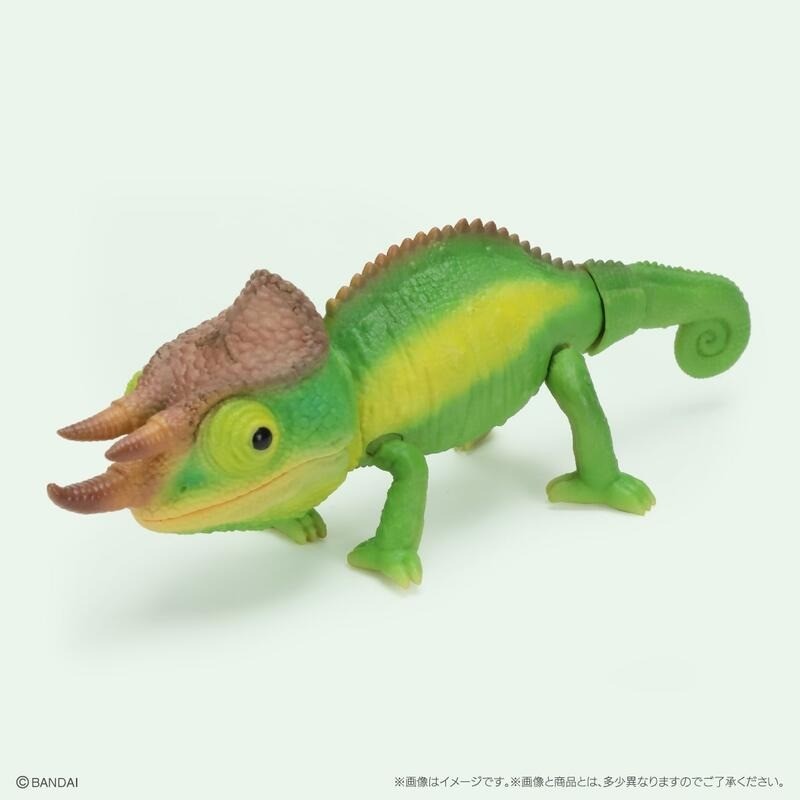 日本 生物大圖鑑 變色龍 扭蛋 動物模型 爬蟲公仔 可動模型