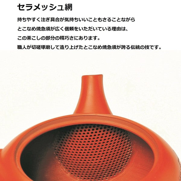 日本製 常滑燒 昭龍作 天目釉金蓋茶壺 | 極上急須 高級茶壺 日本茶壺 名工製作 收藏品