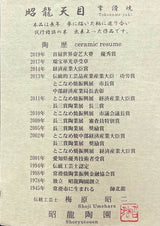 日本製 常滑燒 昭龍作 天目釉金蓋茶壺 | 極上急須 高級茶壺 日本茶壺 名工製作 收藏品