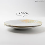 日本製 美濃燒 含羞草白釉碗盤 | 陶瓷碗 飯碗 圓盤 淺盤 多用碗 簡約北歐