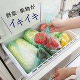 日本進口 蔬果保鮮袋 100枚入 4L/2L兩尺寸 | 保鮮袋 蔬果保存袋 冰箱收納袋 食物密封袋