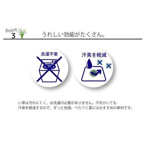 日本製 IKEHIKO 九州燈心草涼枕｜涼感枕頭 涼感 抗菌 除臭 - 富士通販