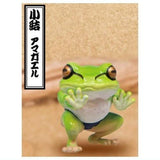 日本 Qualia 蛙力士氣勢公仔P2 摔角 相撲 扭蛋
