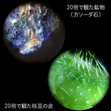 日本 RAYMAY 藤井 迷你顯微鏡RXT1142 RXT1143 | 攜帶型顯微器 兒童顯微鏡