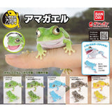 日本 BANDAI 萬代 生物大圖鑑日本雨蛙 扭蛋