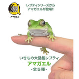 日本 BANDAI 萬代 生物大圖鑑日本雨蛙 扭蛋