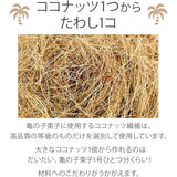 日本製 龜之子百年棕刷 | 不傷鍋具 天然菜瓜布 鐵鍋刷 硬毛刷 棕梠刷