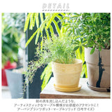 日本 posh living 再生環保花盆 3吋 4吋 5吋 | 多肉盆栽 城市花盆系列
