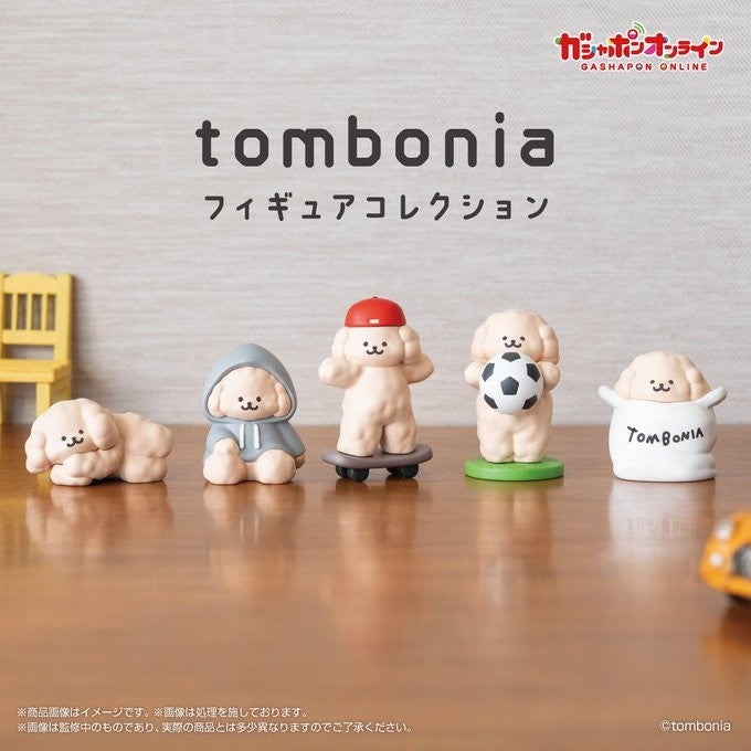 日本 BANDAI 萬代 Tombonia公仔 扭蛋 線條小狗 模型 貴賓狗 公仔 可愛狗狗 轉蛋