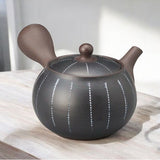 日本製 常滑燒 春秋黑泥白點線茶壺 | 急須壺 側把急須壺 日式茶壺 常滑燒茶壺