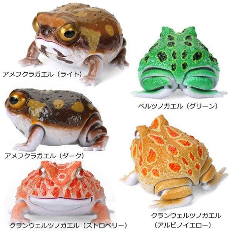 日本 Bandai 萬代 生物大圖鑑 角蛙與饅頭蛙｜扭蛋 兒童教具 - 富士通販